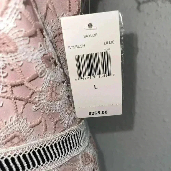 🌷 Host Pick 🌷 NWT! SAYLOR Lillie Dress in Ivory and Blush - Size Large - Picture 7 of 10